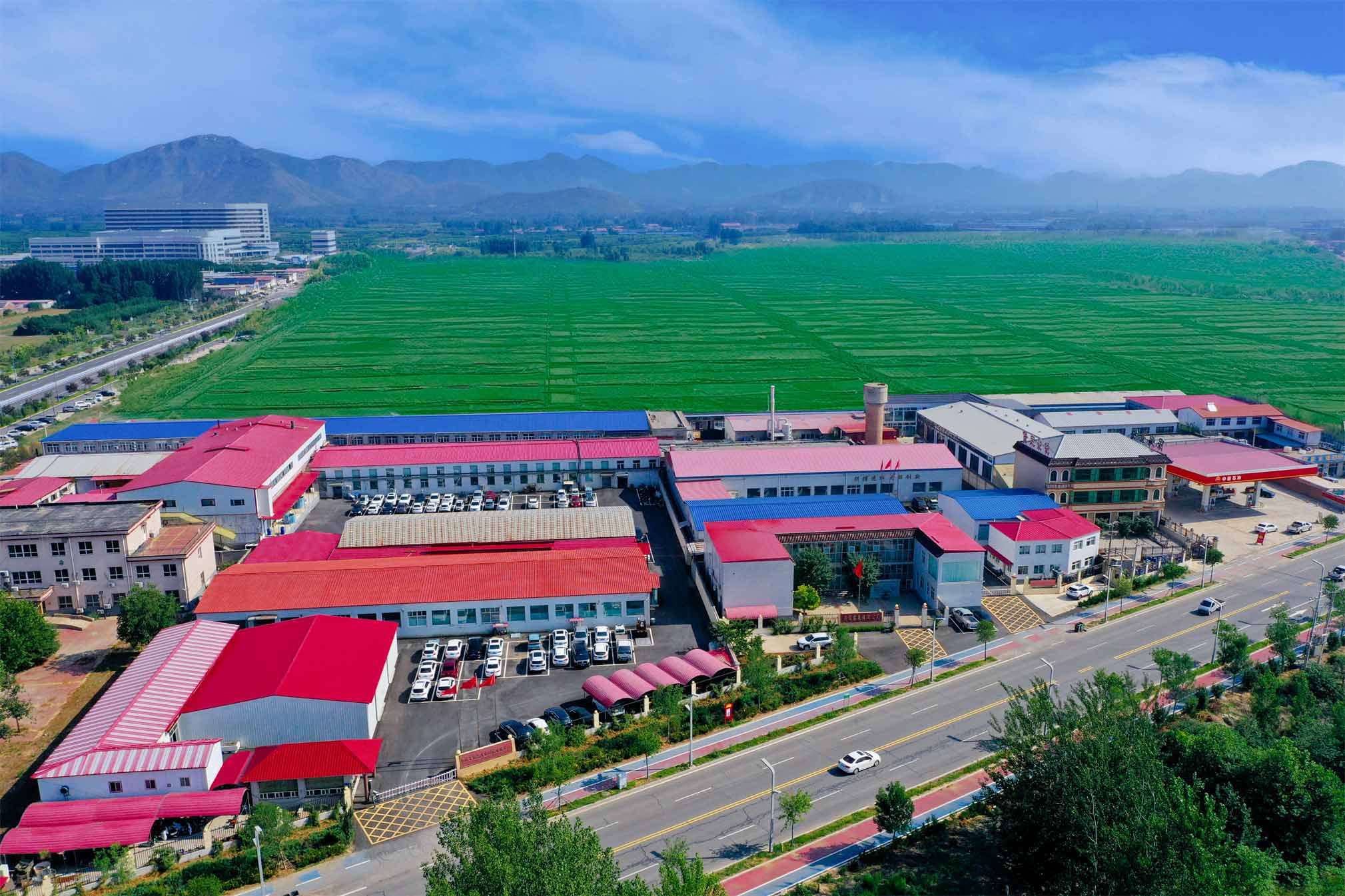 河北墨提斯生物科技有限公司